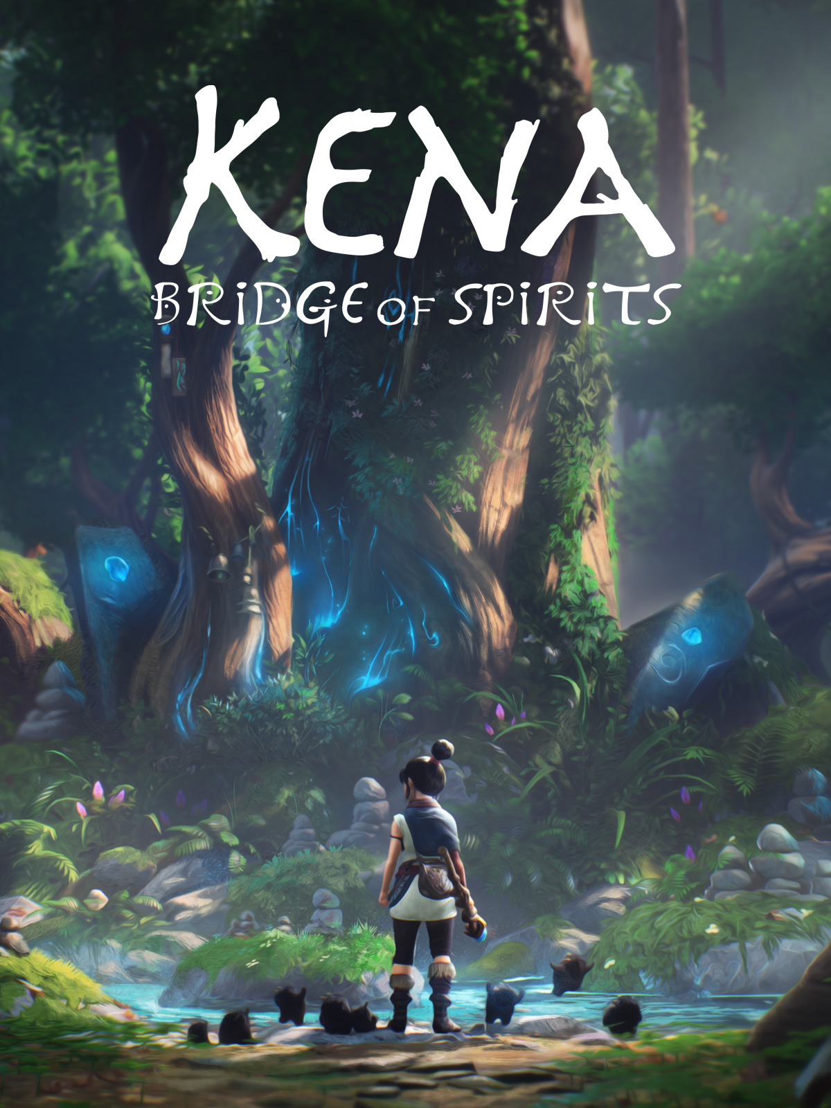 Image du jeu Kena