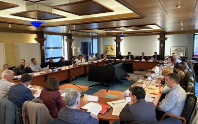 Conseil municipal : à l&rsquo;ordre du jour de la séance du jeudi 11 juin à 19h