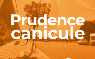 Vigilance orange canicule (mardi 7 juillet dès 12h) : suivez la situation à Plabennec