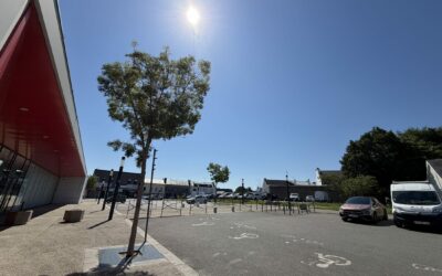 Canicule précoce en cours : adoptez les bons réflexes