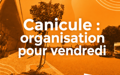 Canicule : organisation pour vendredi