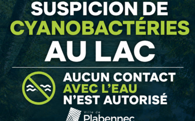 Suspicion de présence de cyanobactéries au lac : des mesures de précaution mises en place