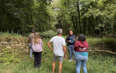 Visites guidées du site féodal de Lesquelen les jeudis 9 et 23 juillet : remontez le temps au cœur d’un patrimoine d’exception